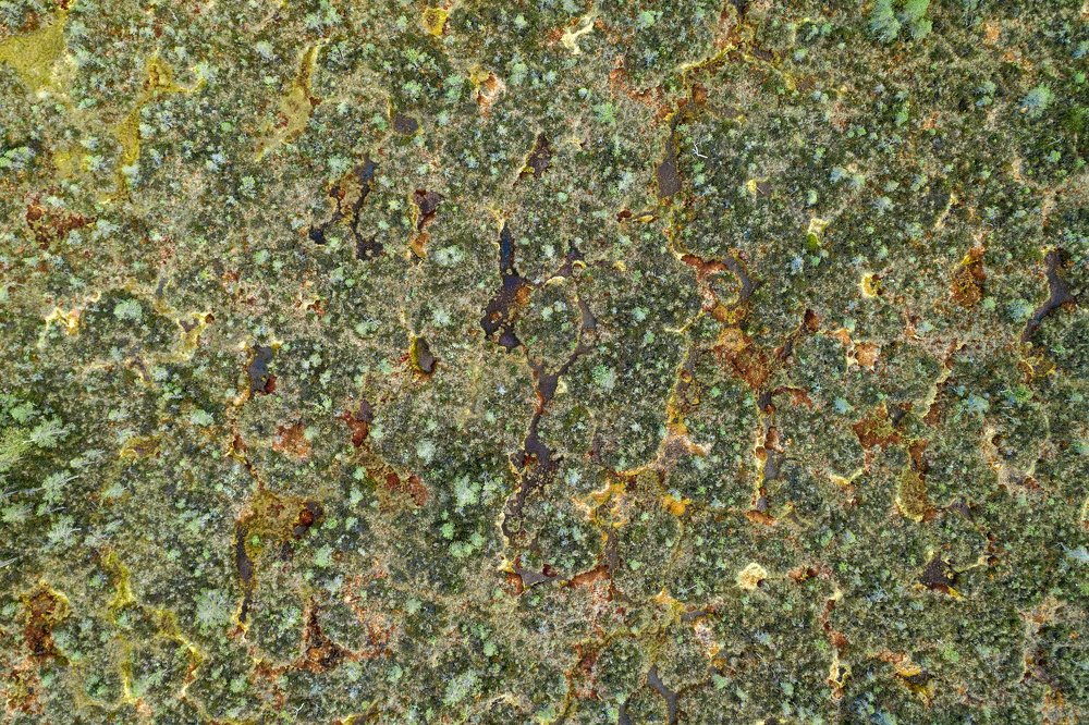 Photograph by Gatis Vilbrants