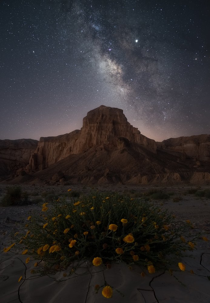 Photograph by Alex Savenok