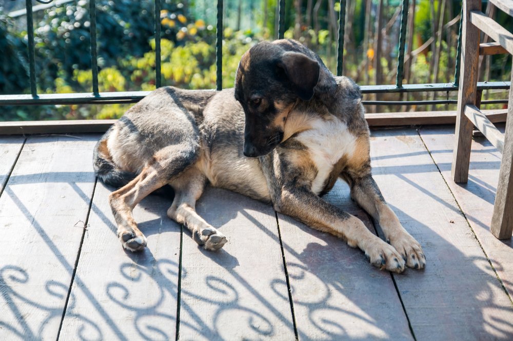 Photograph by Ольга Лапшина