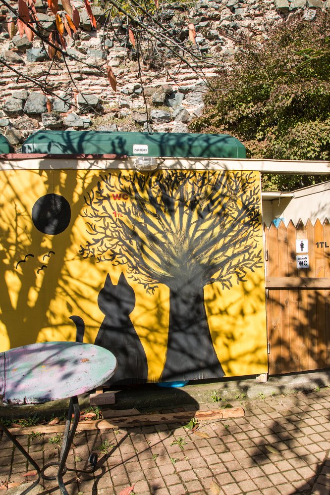 Photograph by Ольга Лапшина