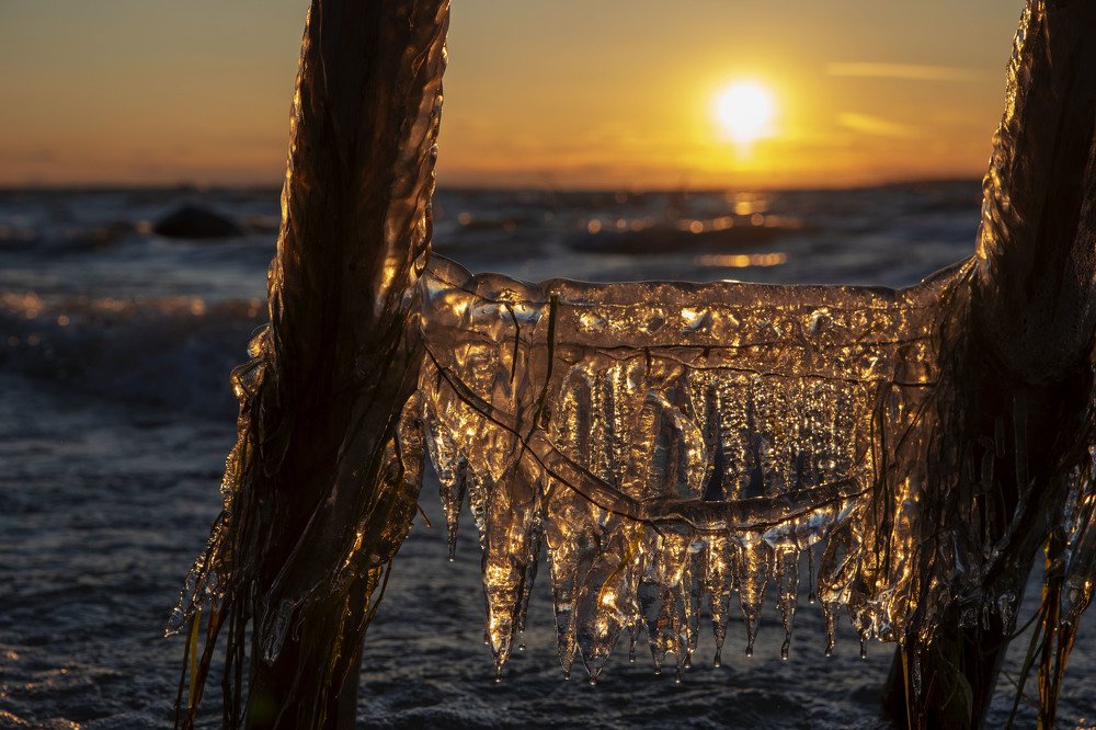 Photograph by Natalia Ghimp