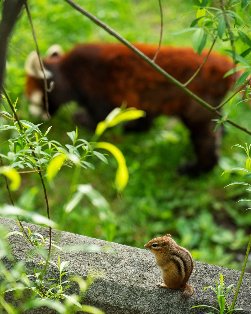 Photograph by Natalia Ghimp