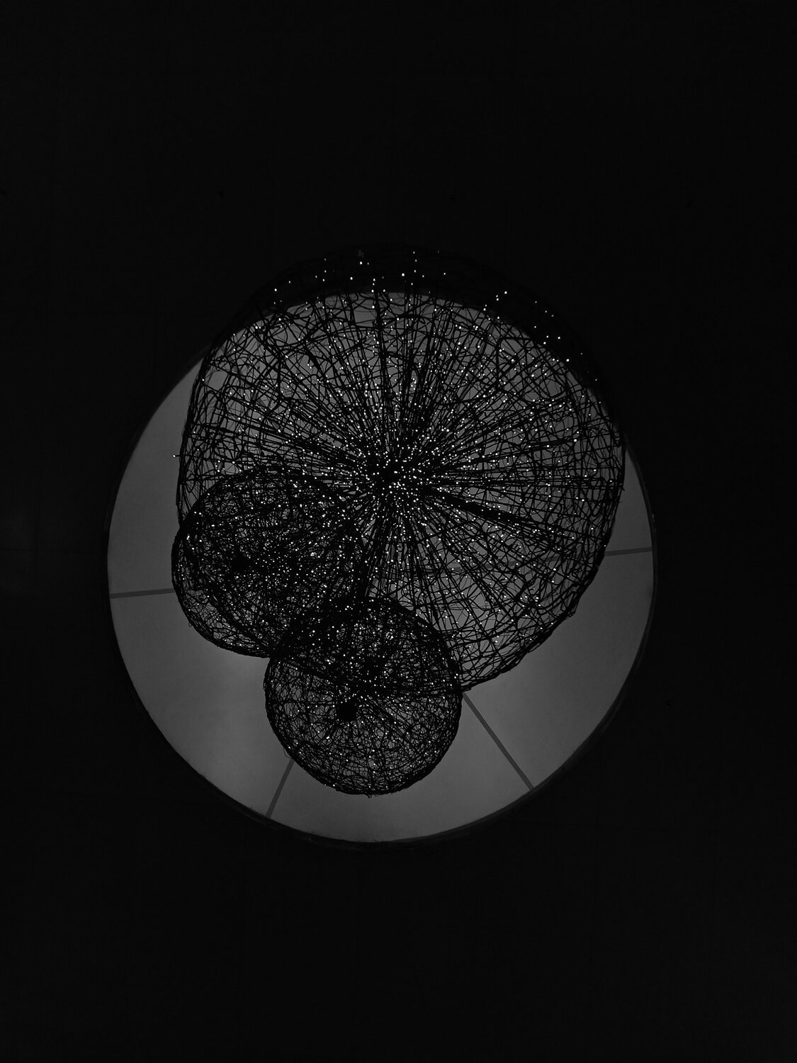 The BRAIN