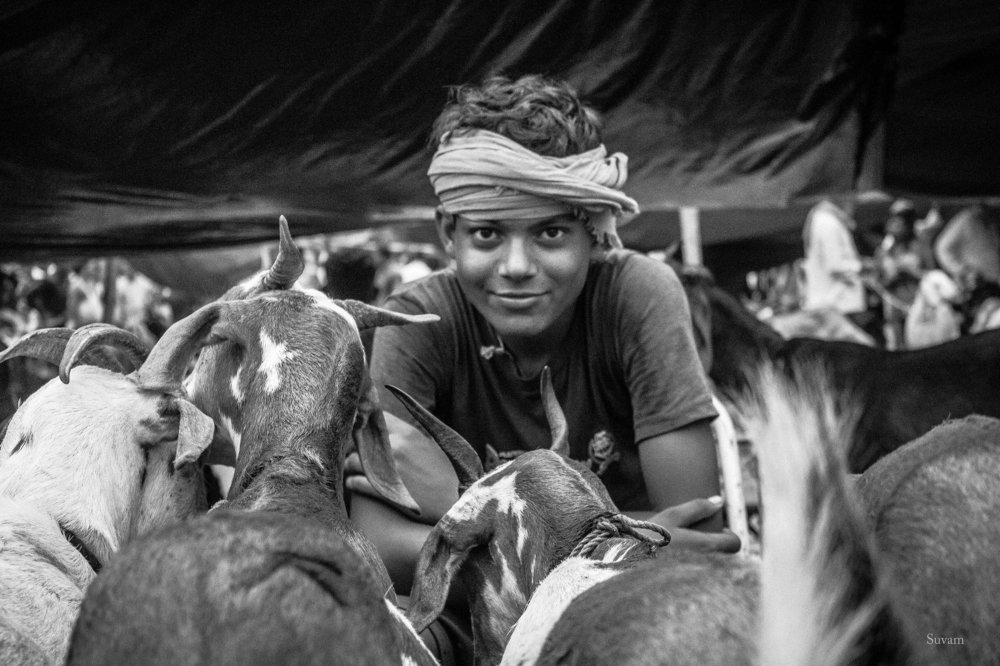 Фотография автора Suvam Saha