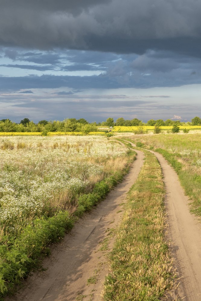 Photograph by Natalia Ghimp