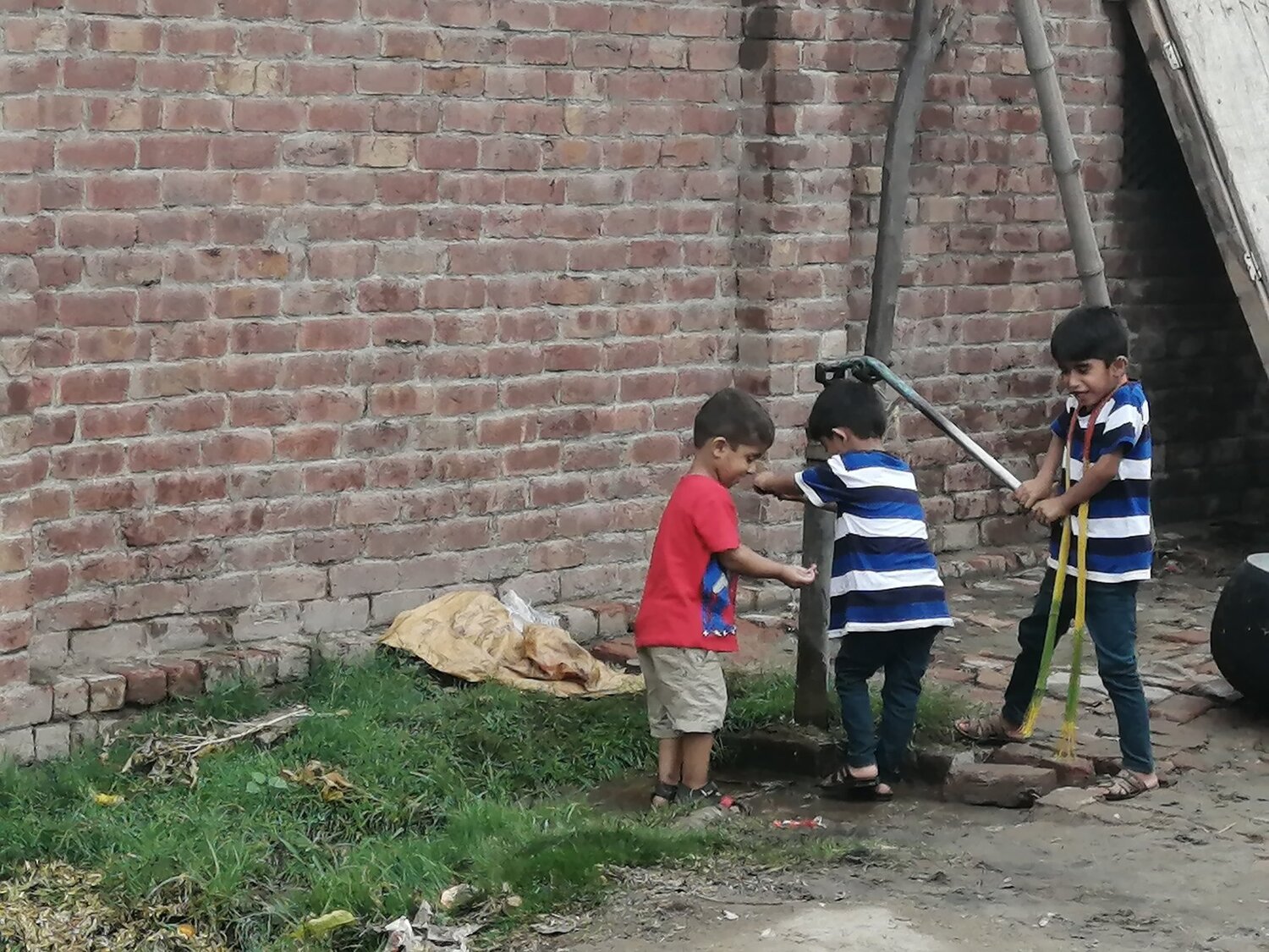 Photo #4076845