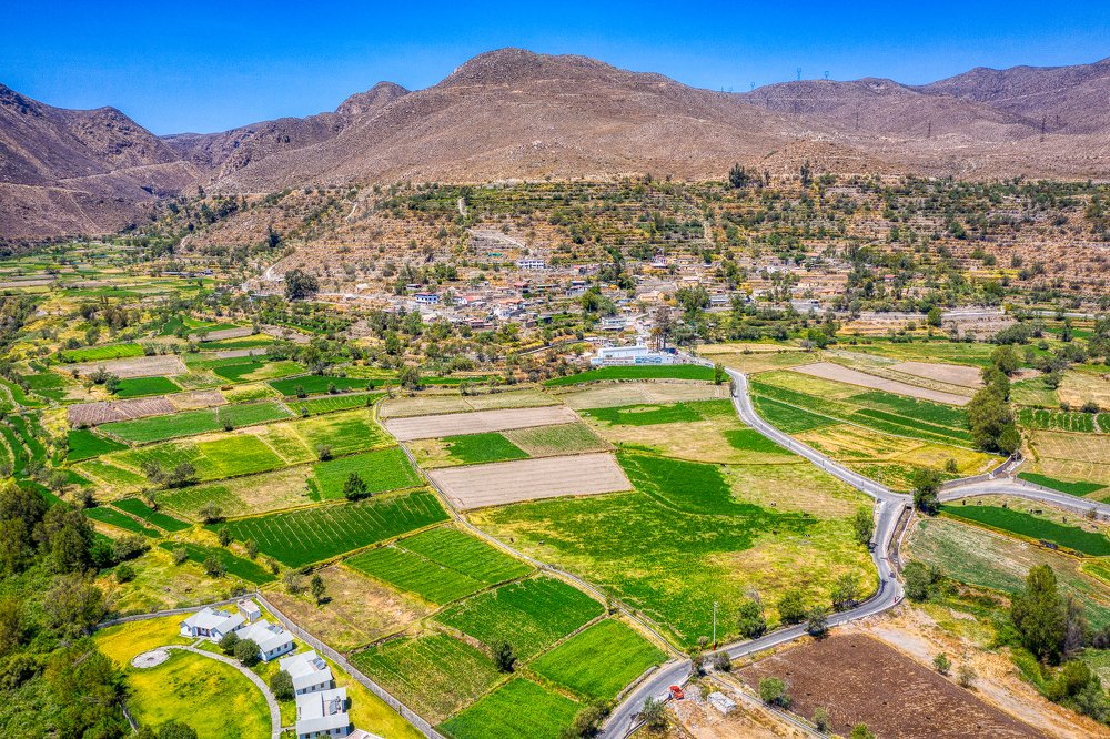 Photograph by Carlos Tomasio