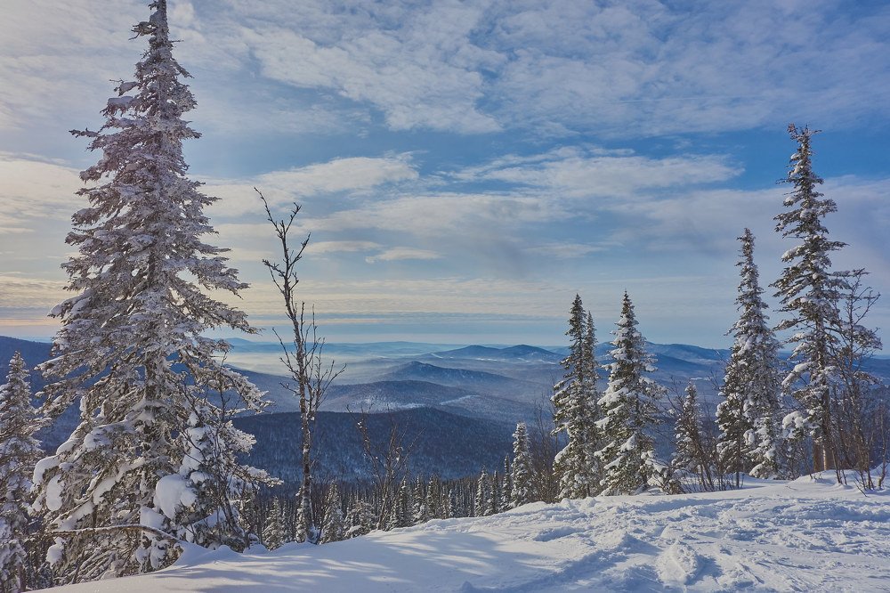 Photograph by Алексей Приешкин