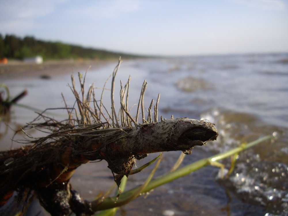 Photograph by Tatyana Semenova