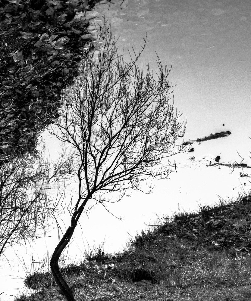 Photograph by Сергей Грато