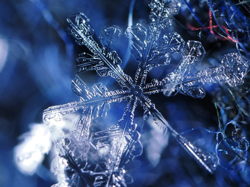 Cold star