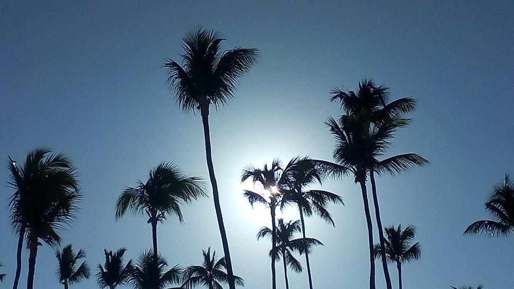 Tapar el sol con un coco.