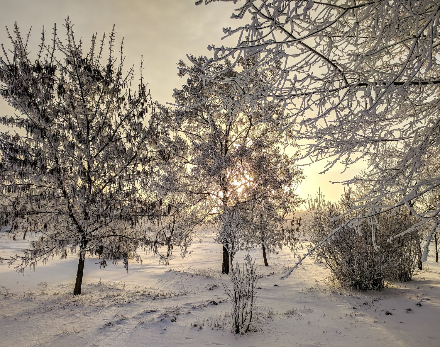Photo #4077257