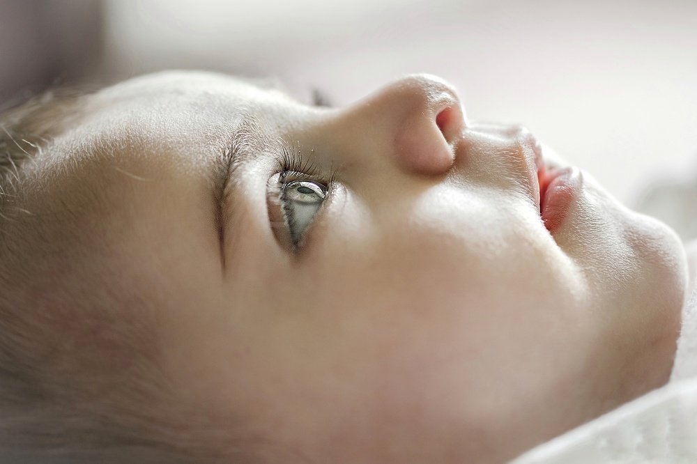 Фотография автора ziba alirezaei58