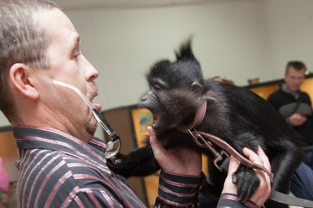 Photograph by Парфенова Любовь