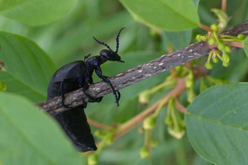 Photograph by Oleg M Kulishov