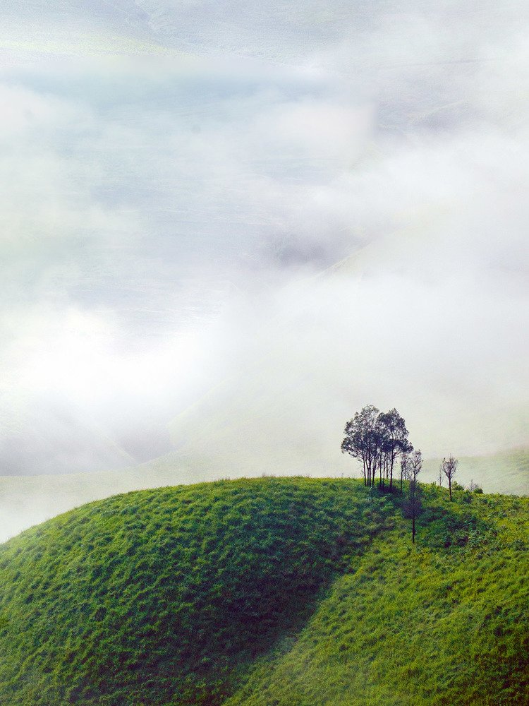 Photograph by  Deny Krisbiyantoro