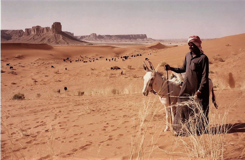 Photograph by Domingo Herras