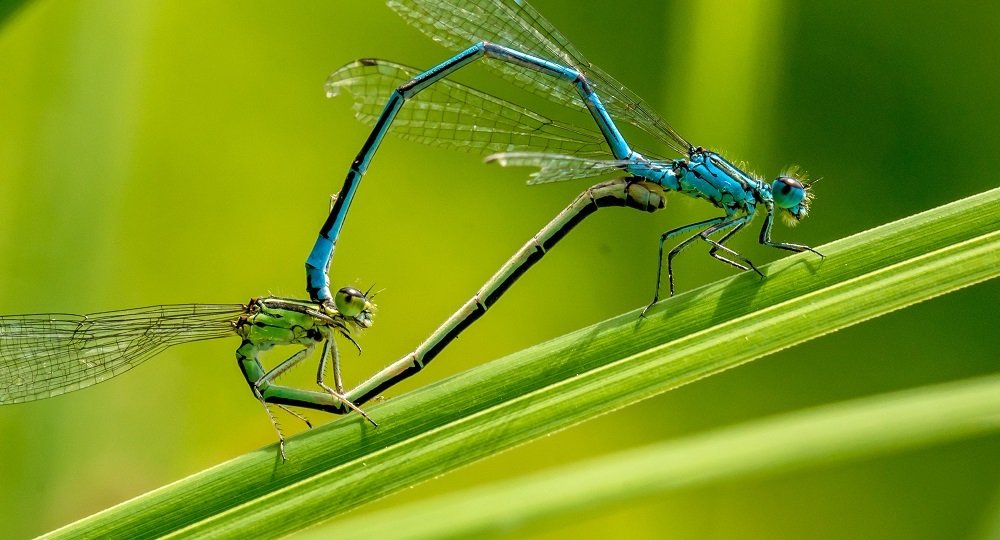 Photograph by zause01