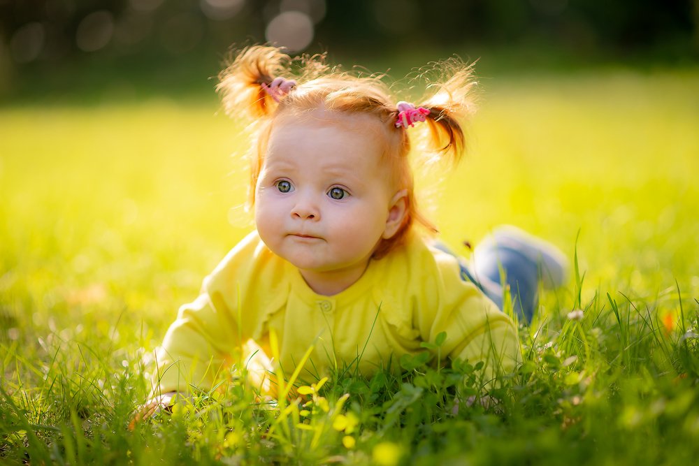 Рыжее солнышко