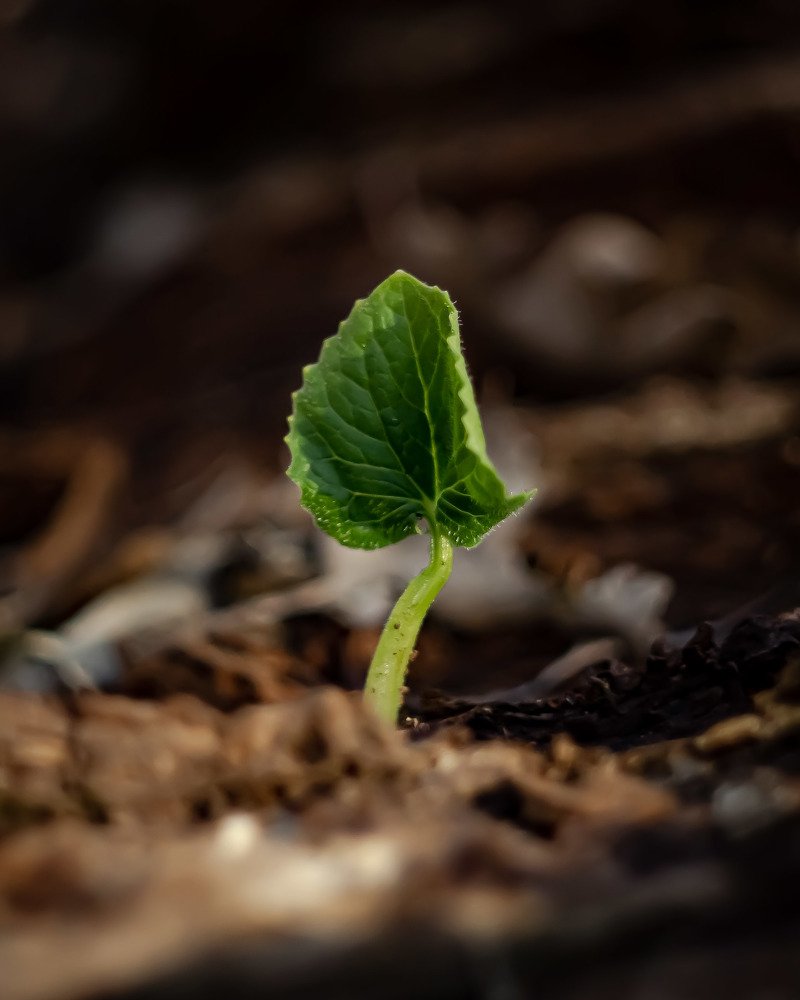 Photograph by Адам Мешлок