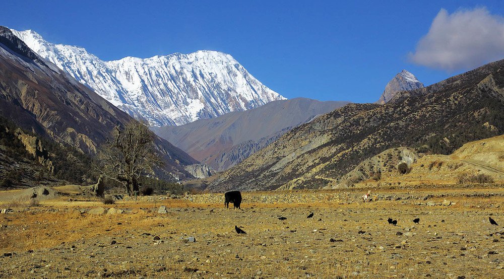 Photograph by Михаил Баевский