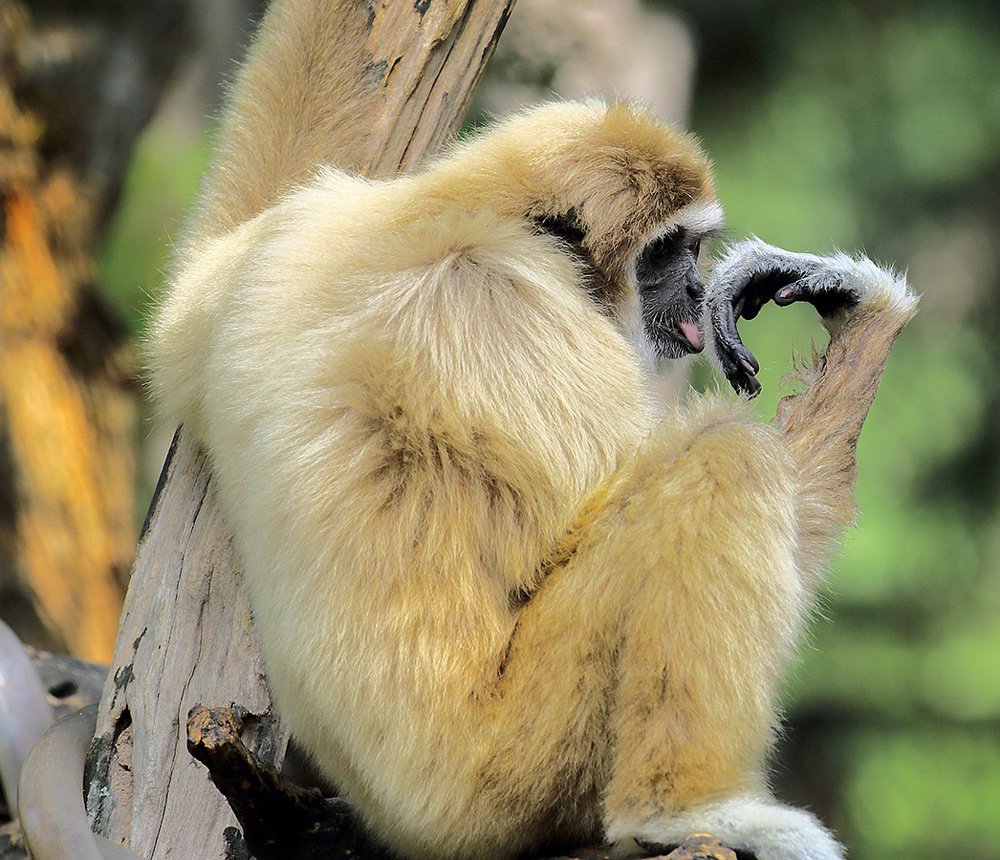 Photograph by Михаил Баевский