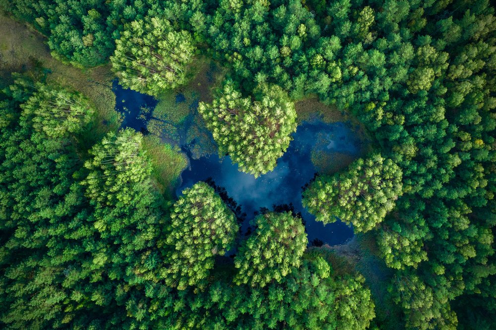 Photograph by Gatis Vilbrants