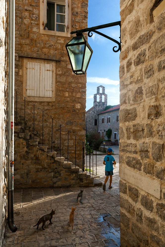 Photograph by Максим Малевич