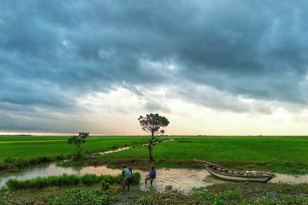 countryside of Bangladesh