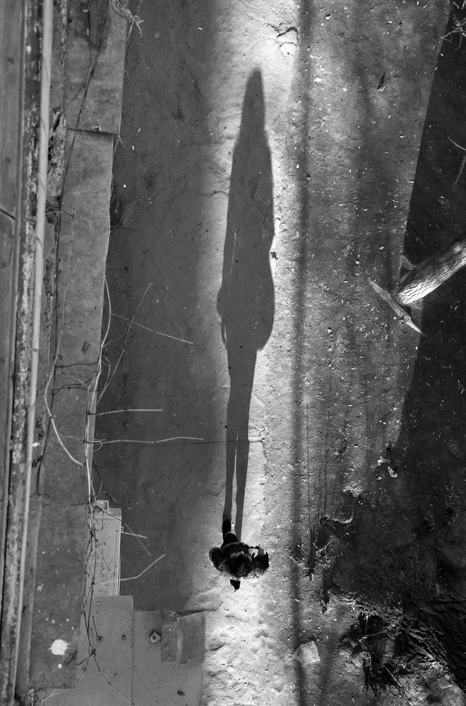 Photograph by Андрей Слива