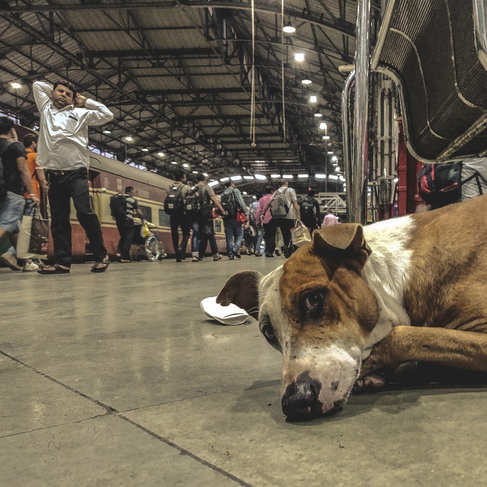 Photograph by Amit Borana