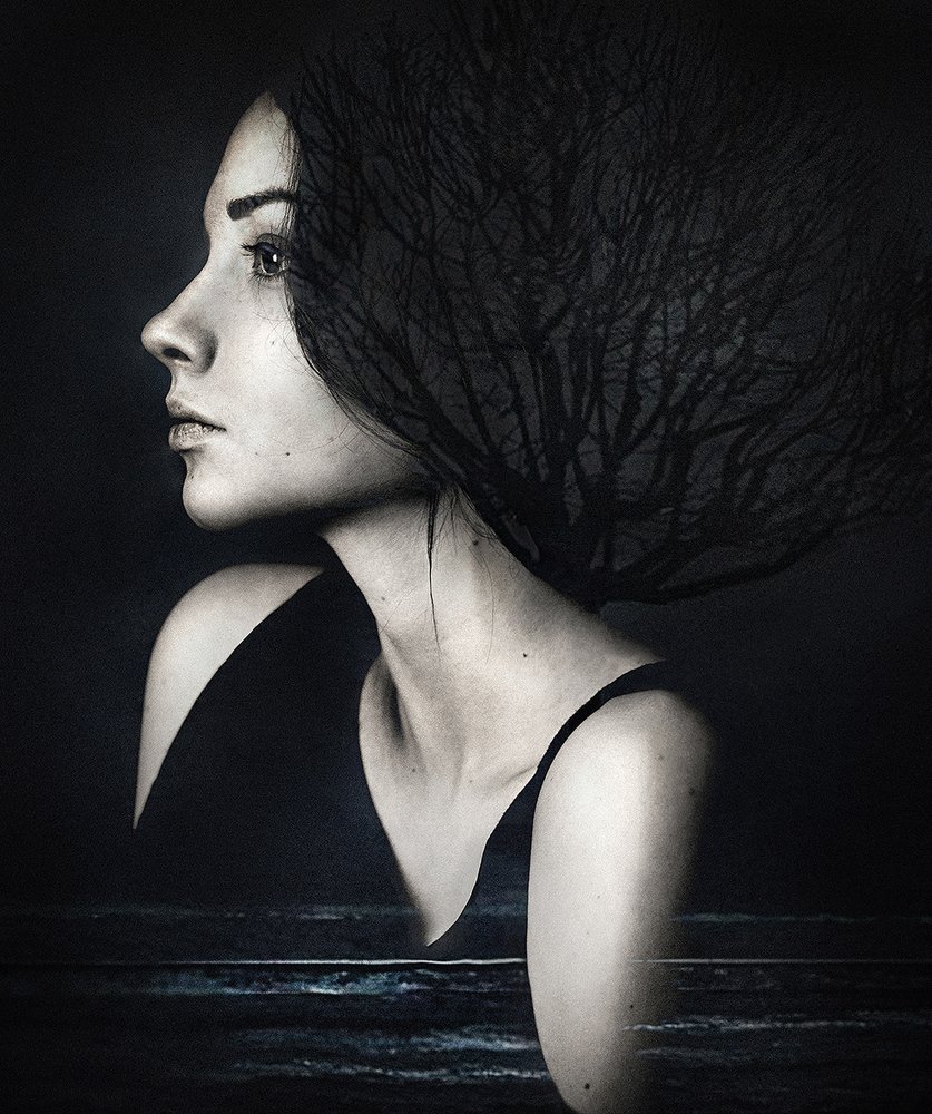 Photograph by Волков Анатолий