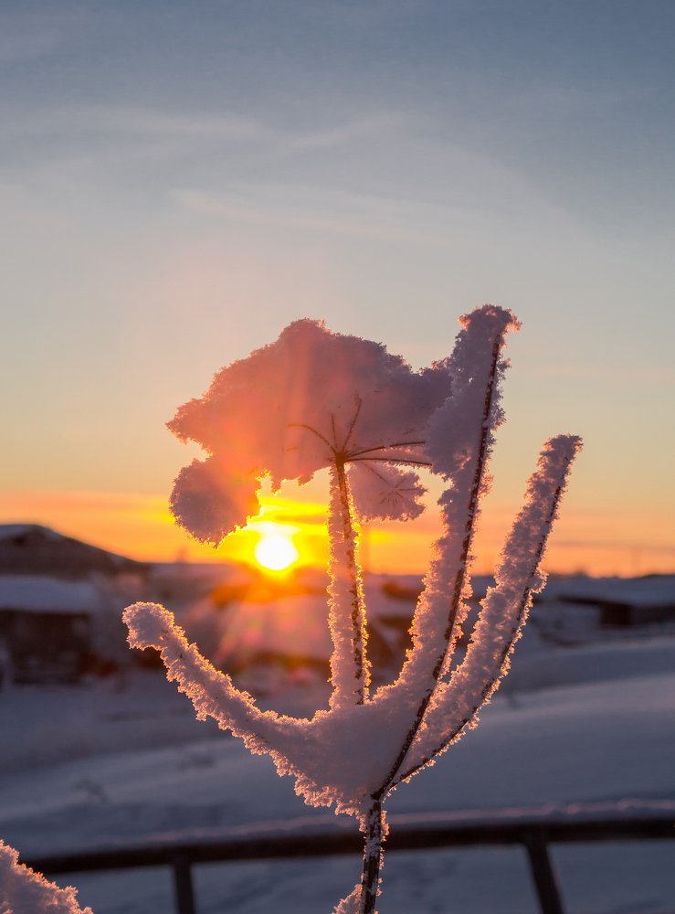 Photograph by Ольга Ситникова