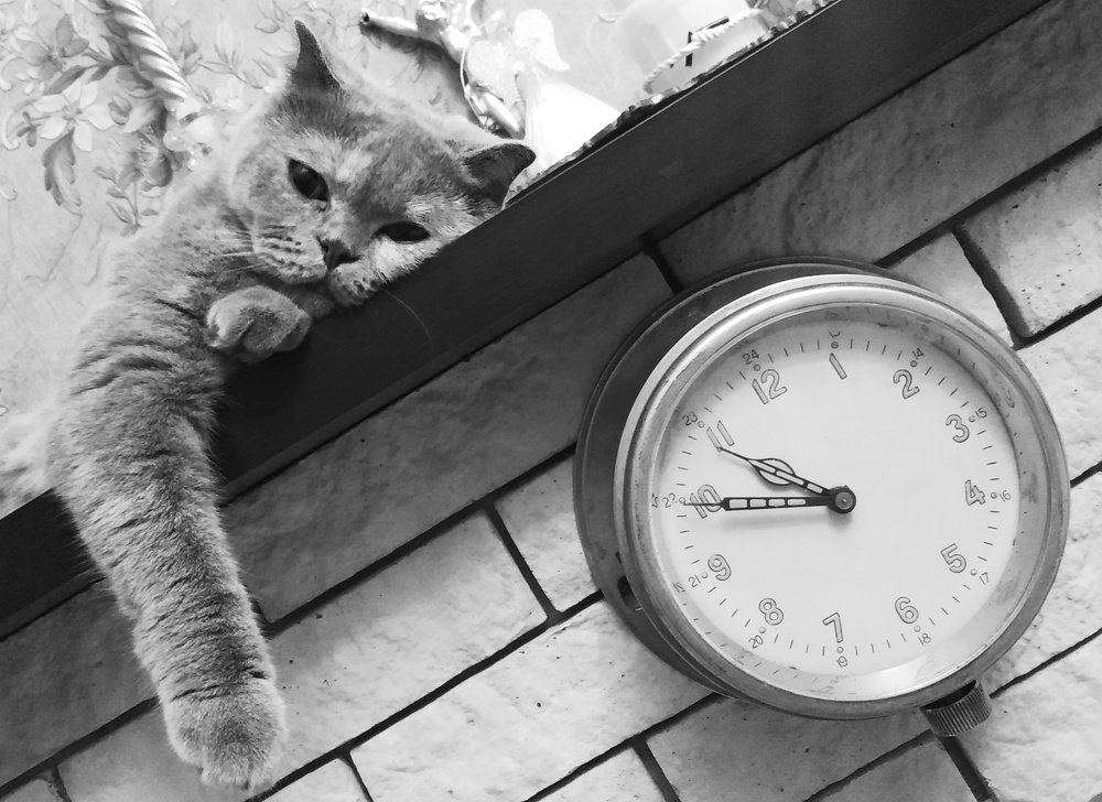 Photograph by Ali Aliyev