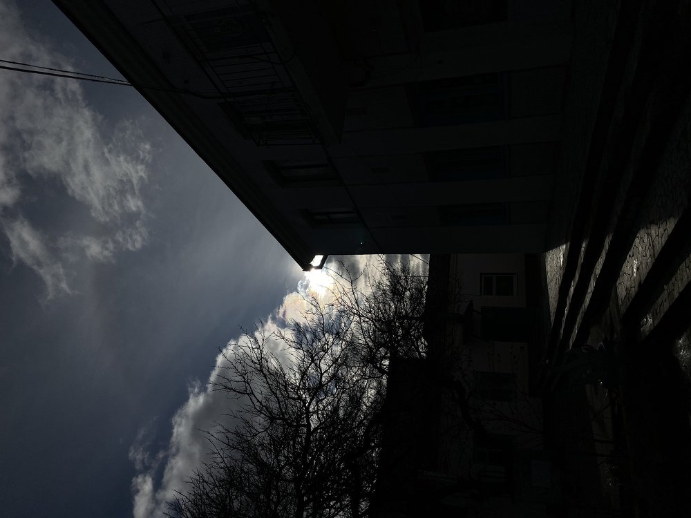 Photograph by Ольга Петухова