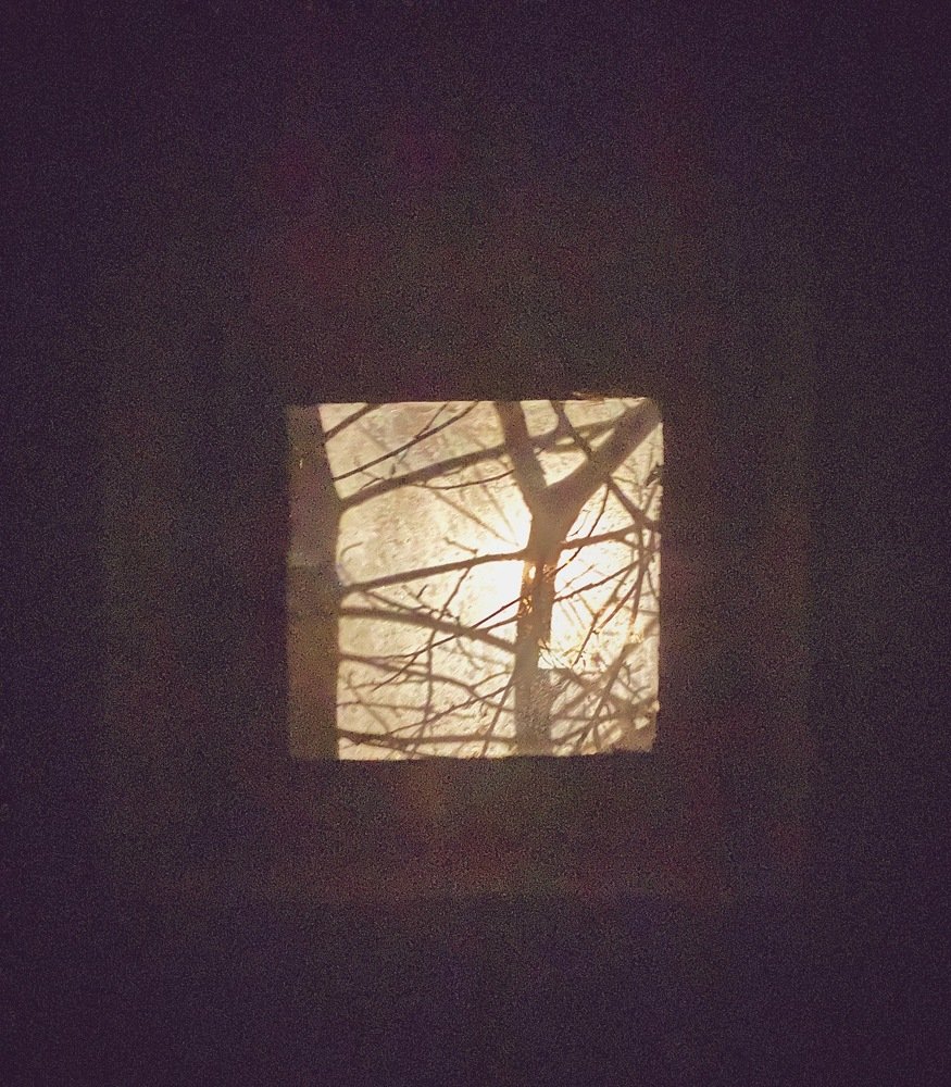 Photograph by Ольга Петухова