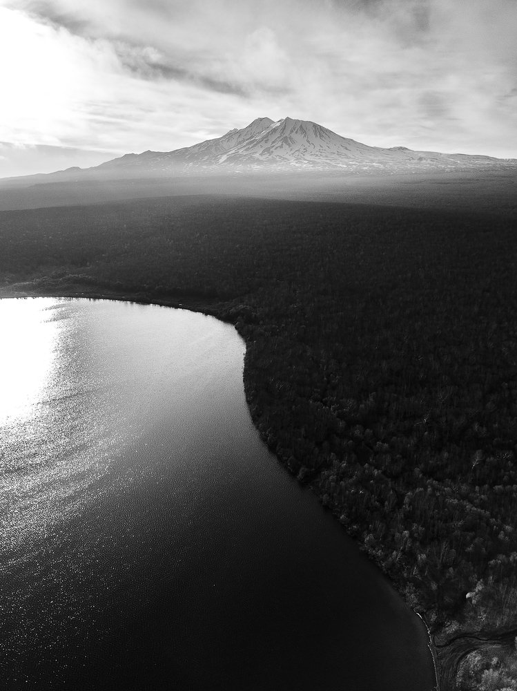 Photo #4078495