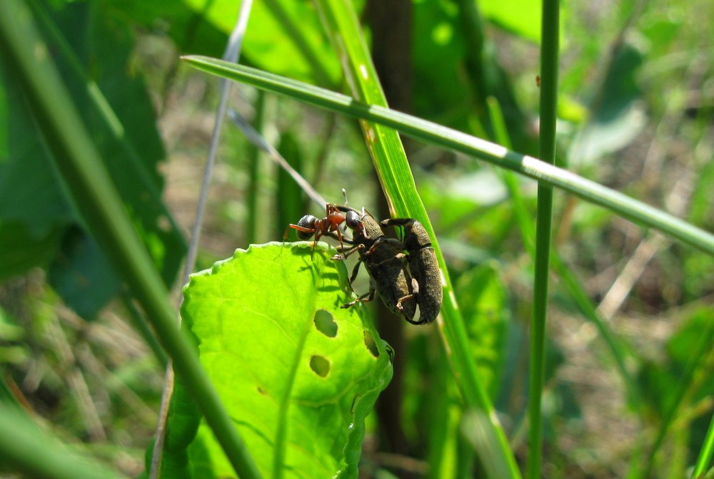 Photograph by Александр Рыбак