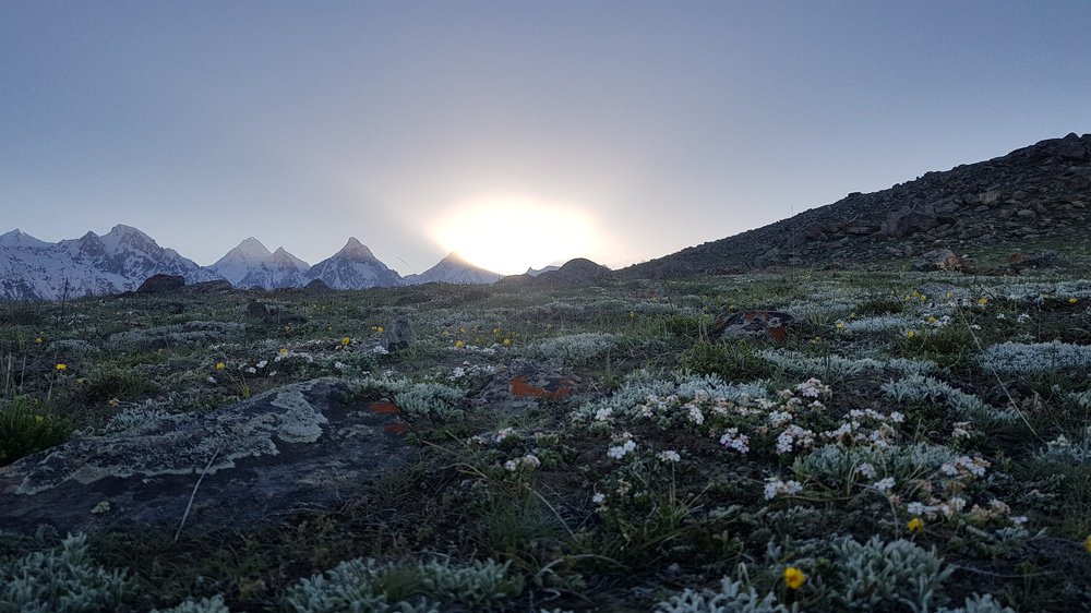 Daylight(sunrise) landscape