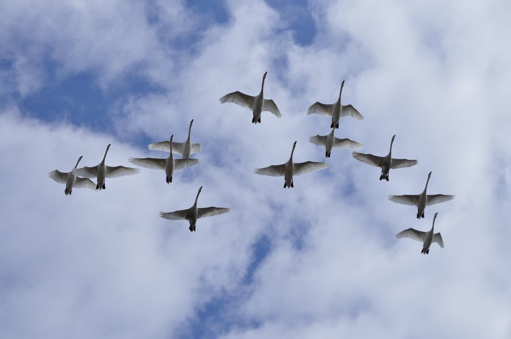 Photograph by Александр Рыбак