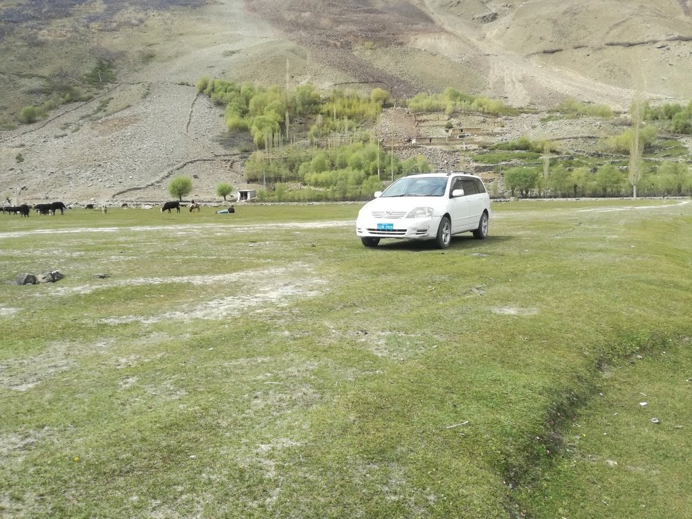 Photo #4078616