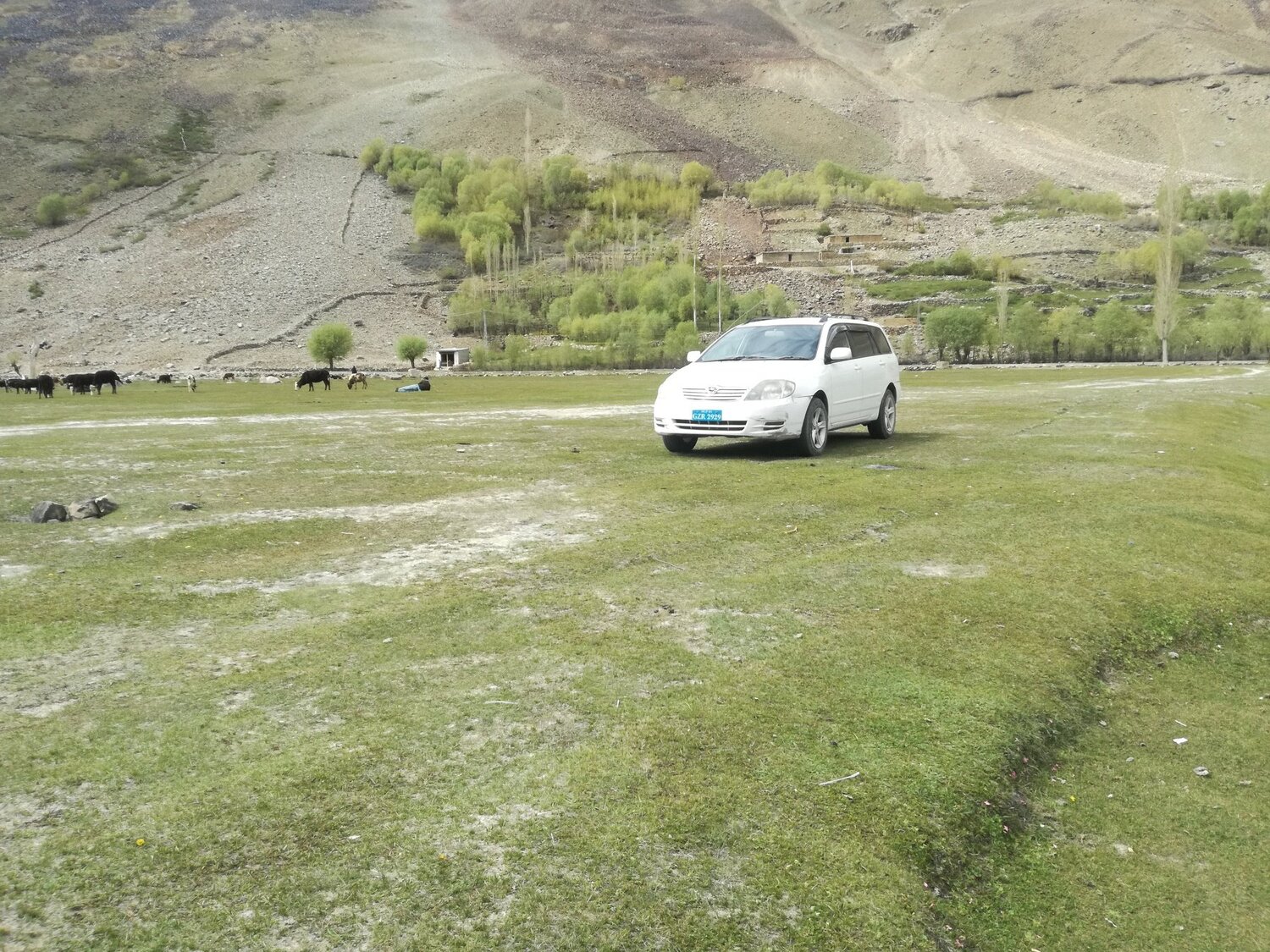 Photo #4078616