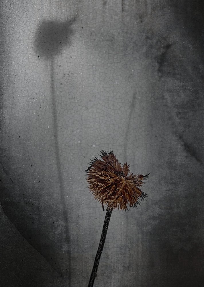 Photograph by Евгений Жиляев