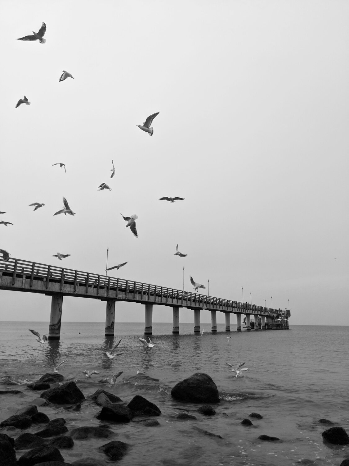 Photo #4078655