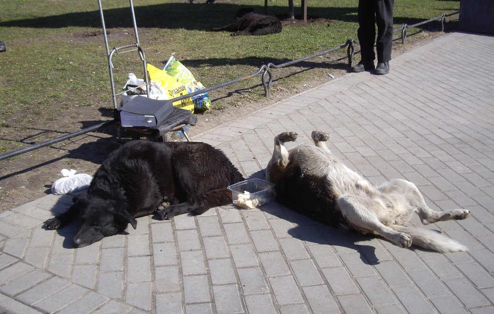 Вот так мы зарабатываем