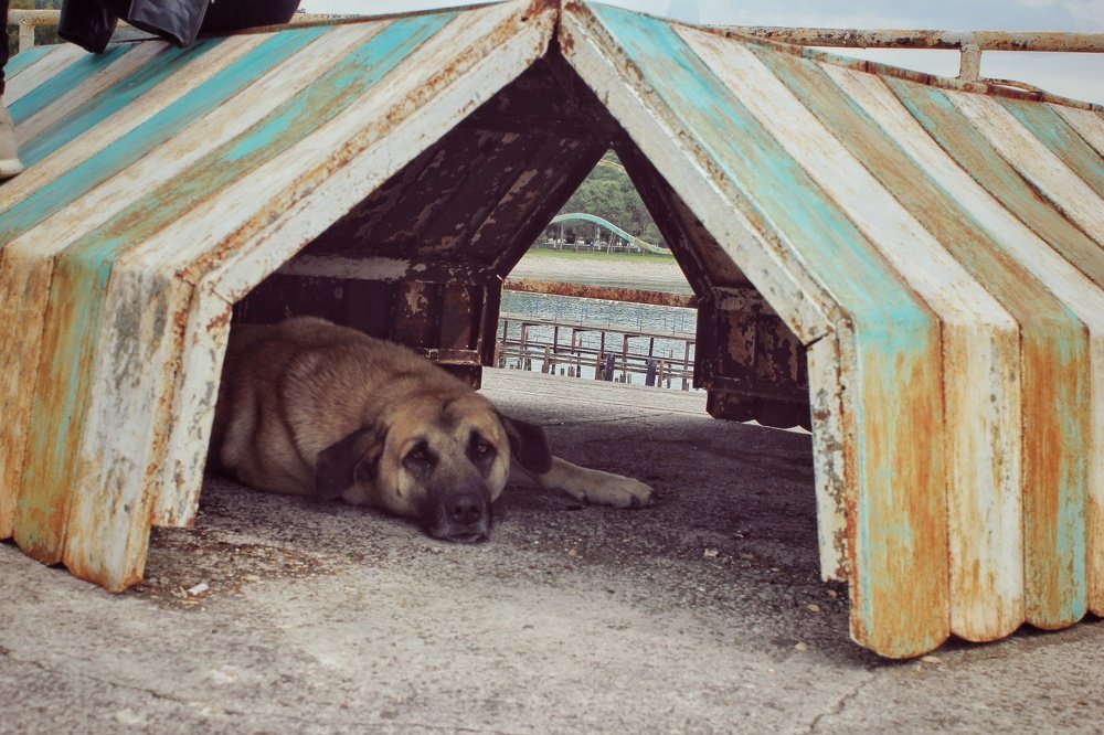 Спасаясь от жары