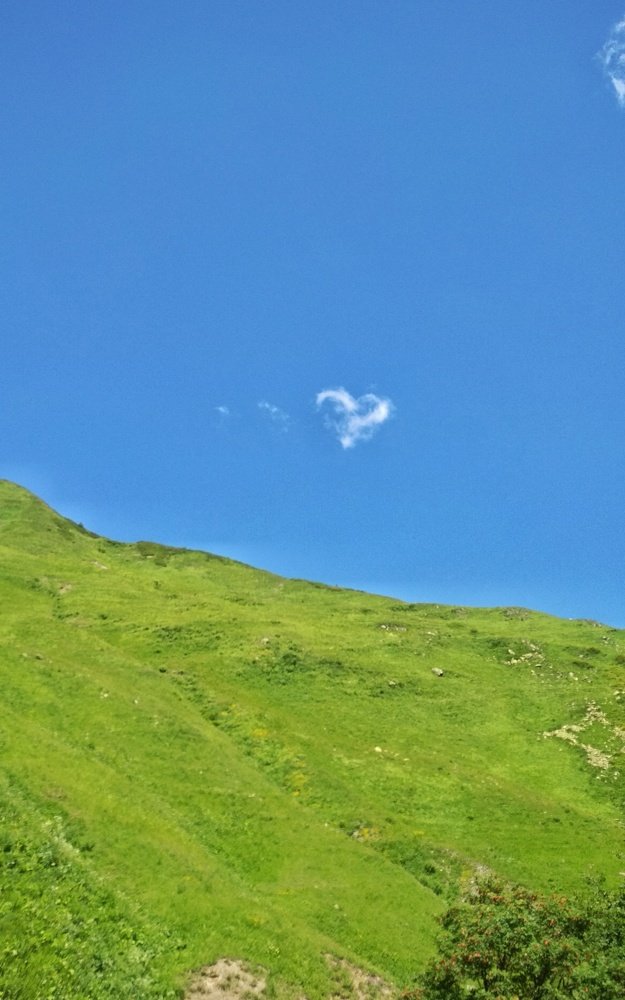 Сердце в горах