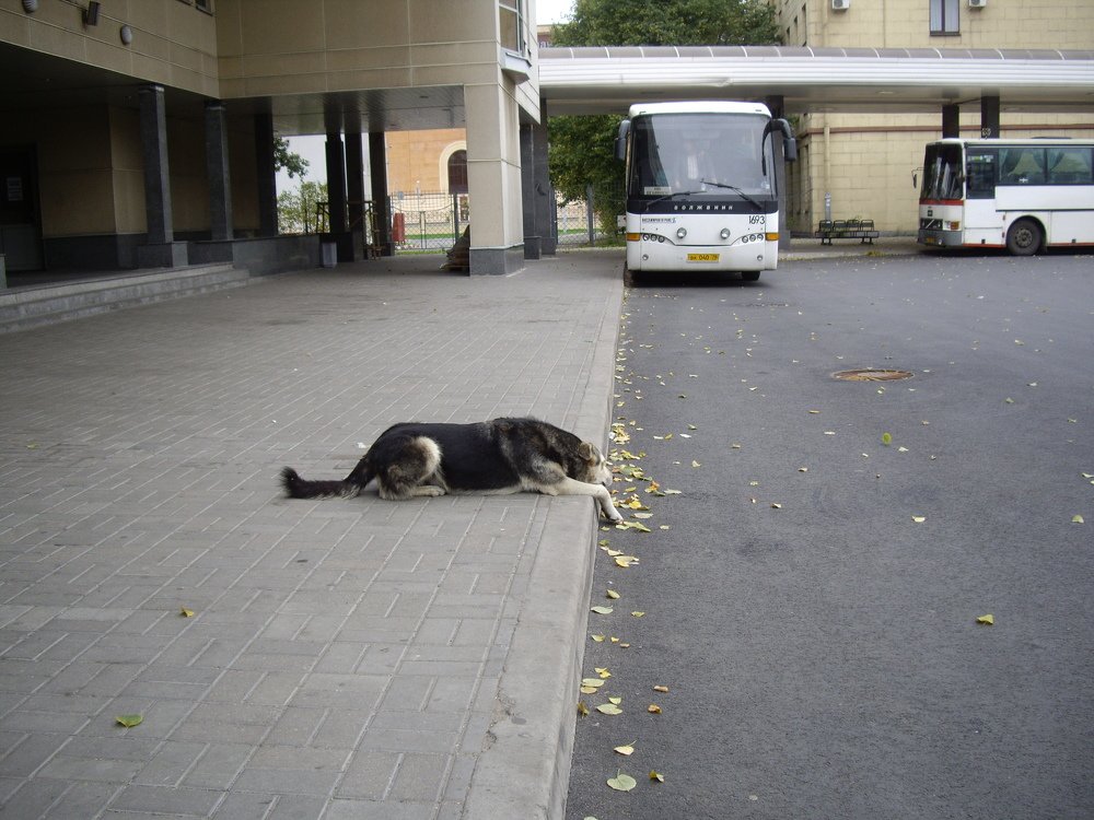 Как грустно