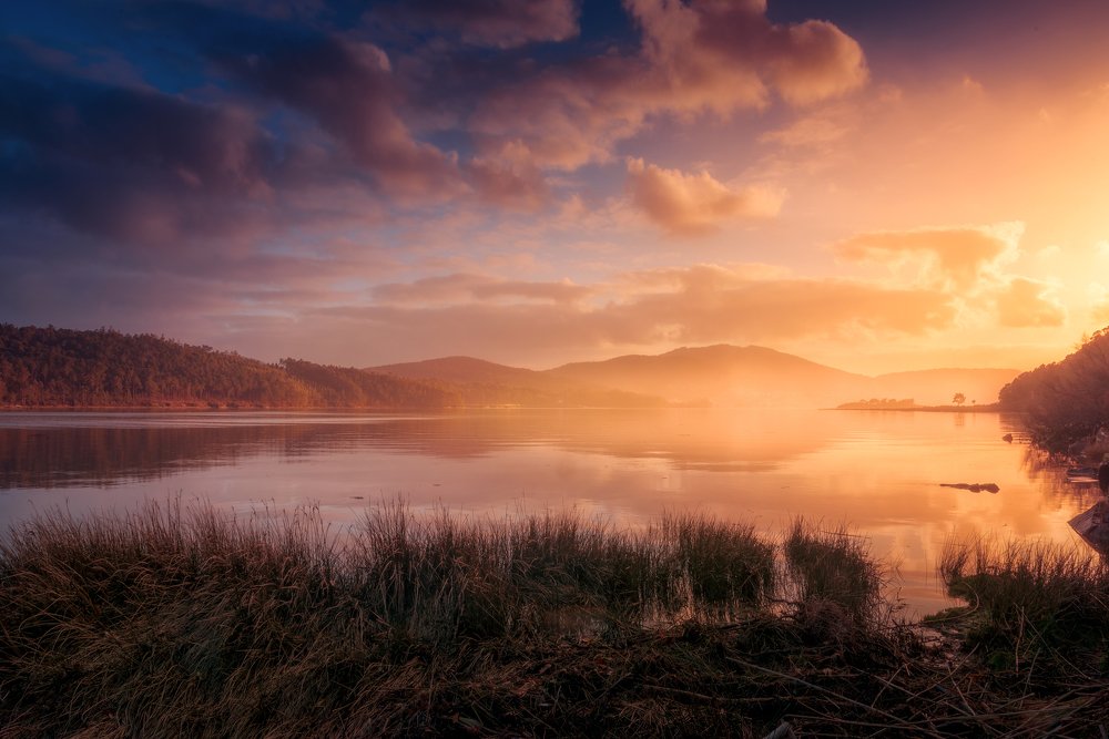 Symphony of Elements